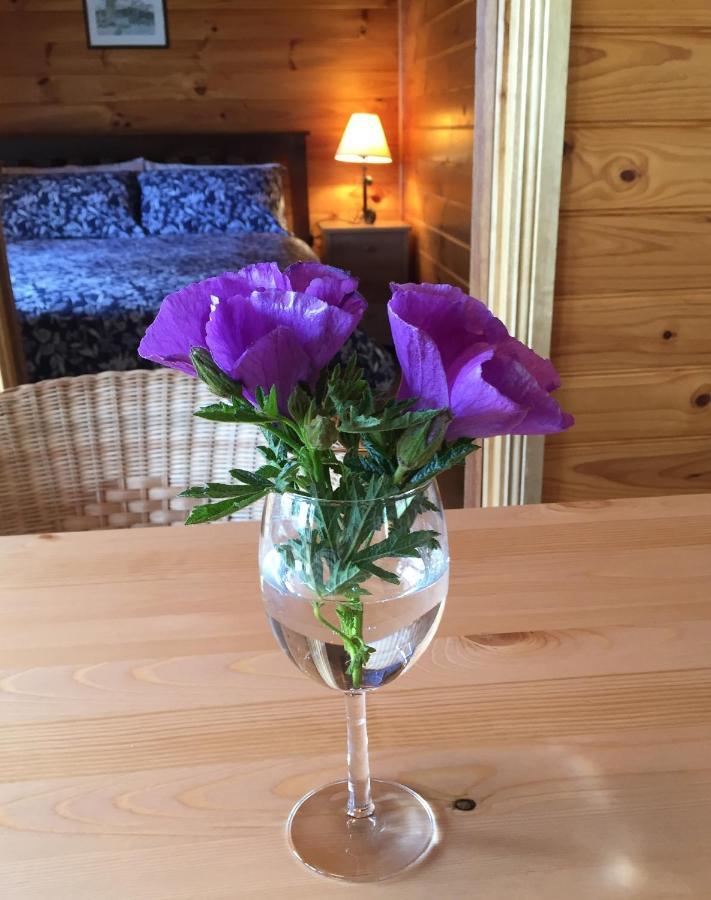 Molly'S Chase Bed & Breakfast Emu Flat Luaran gambar